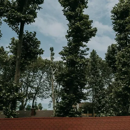 Πανσιόν Platan