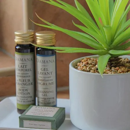 Πανσιόν Platan